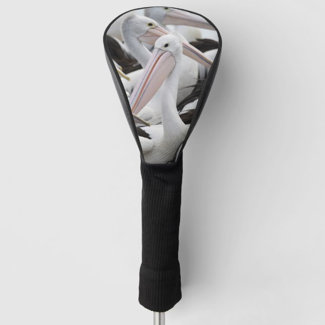 Pelican Pod Golf Head Cover (Front)