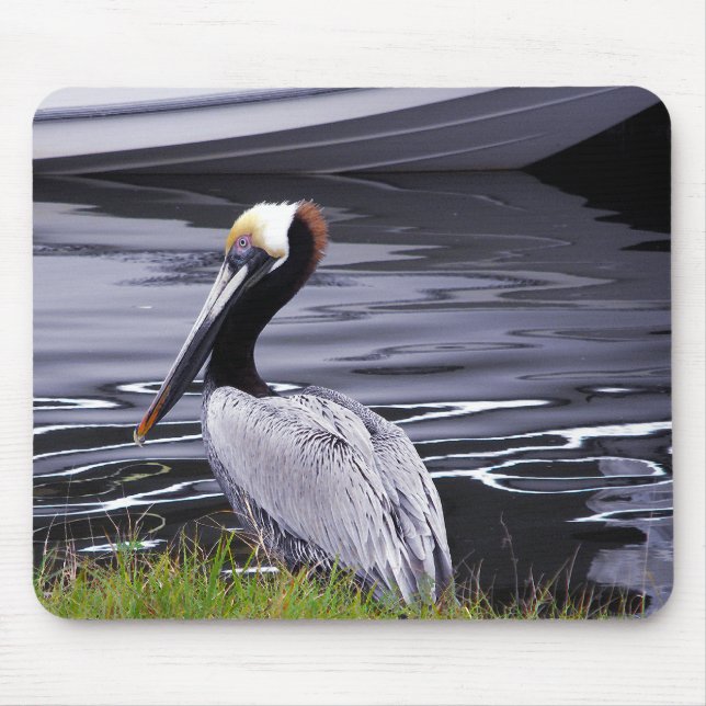 Pelican Poser Mouse Pad (Front)