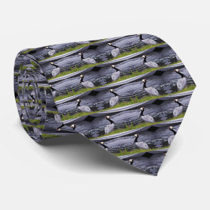 Pelican Poser Tie