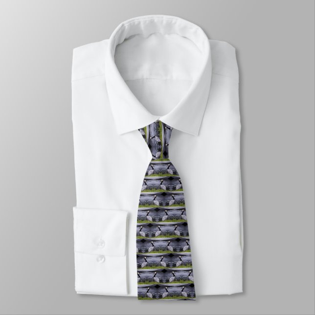 Pelican Poser Tie (Tied)