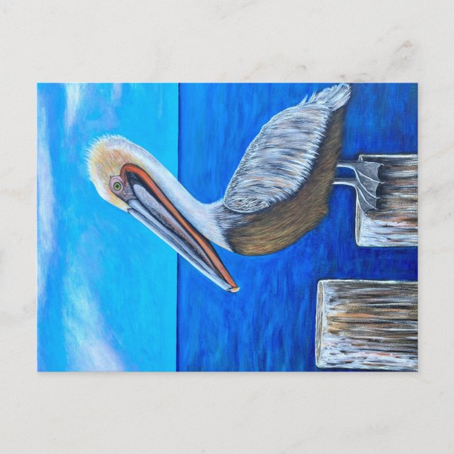 Pelican Postcard (Front)
