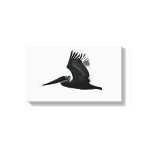Pelican Print - 'In Flight'