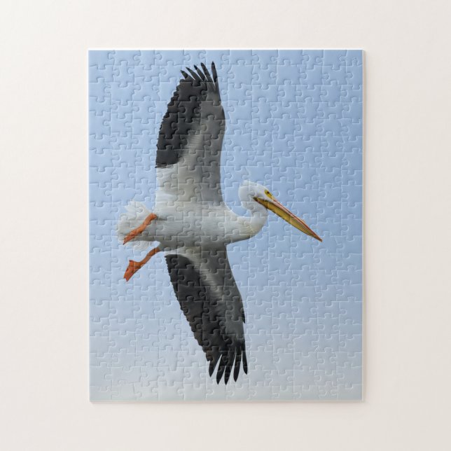 Pelican Puzzle 11x14 (Vertical)