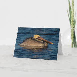 Pelican Resting in Water Greeting Card