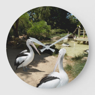 Pelican Sanctuary, Wall Clock