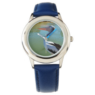 Pelican Singing A Song, Watch