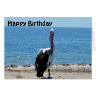 Pelican Stare Down,  Birthday Card