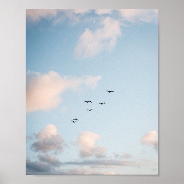 Pelican Sunset Print Poster Paper (Semi-Gloss) (Front)