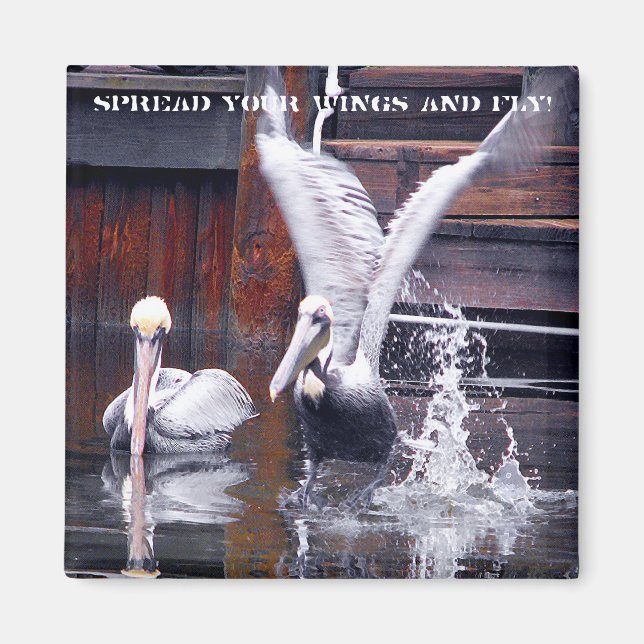 Pelican Takeoff Magnet (Front)