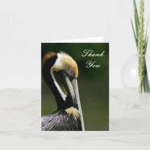 Pelican - Thank You Card