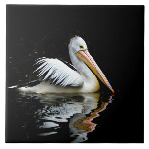 Pelican Tile