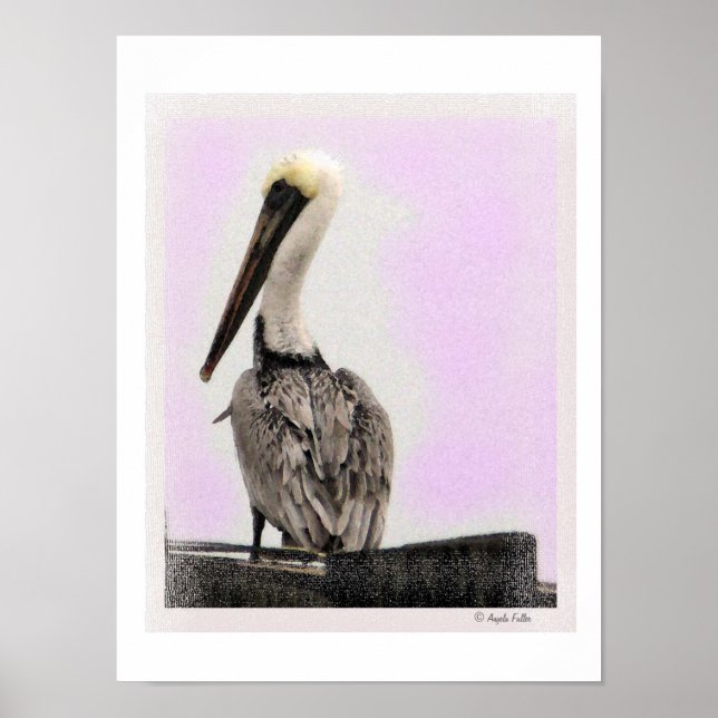 Pelican - Tinted / Black Frame Print (Front)