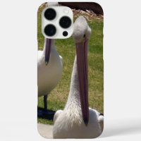 Pelican With A Attitude,