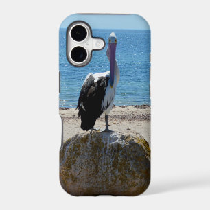 Pelican With The Look,
