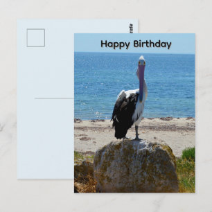 Pelican With The Look, Birthday Postcard