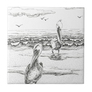 Pelican Woorim beach, Australia, Queensland Tile