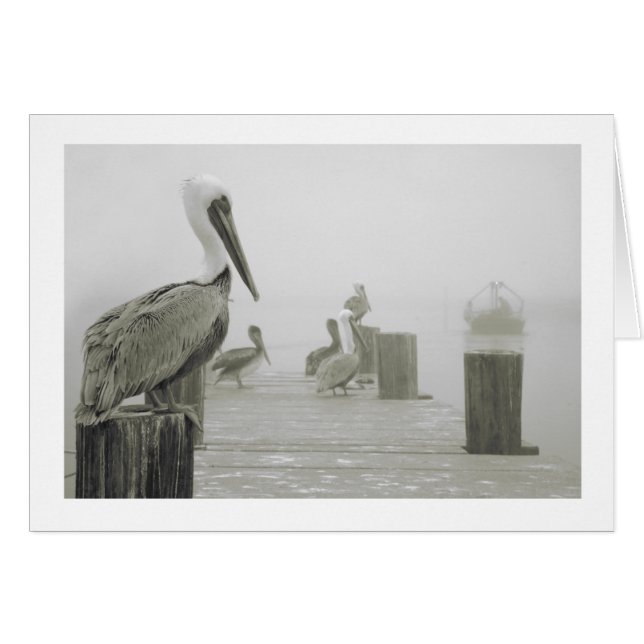 Pelicans and Shrimp boat (Front Horizontal)
