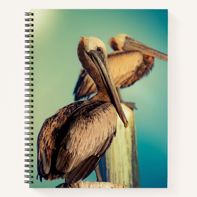 Pelicans at Dawn   Notebook (Front)