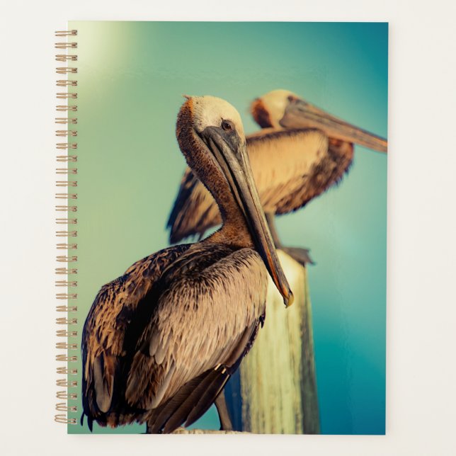Pelicans at Dawn  Planner (Front)