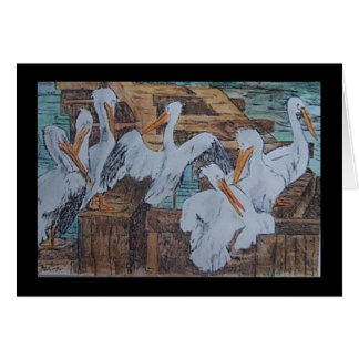 pelicans at Rockport, TX