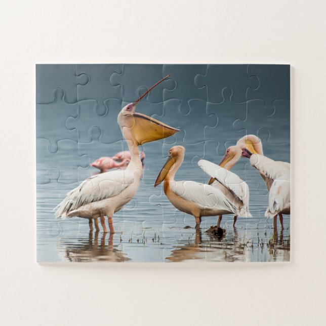 Pelicans at the lake jigsaw puzzle (Horizontal)