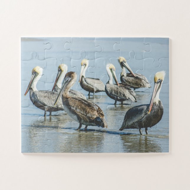 Pelicans Bird Nature Beach Oversized Jigsaw Puzzle (Horizontal)