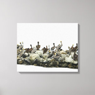 Pelicans Canvas Print