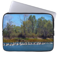 Pelicans Fishing River Murray Australia,