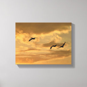 Pelicans flying over river canvas print