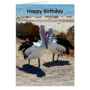 Pelicans In Love, Birthday Card
