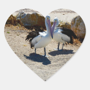 Pelicans In Love, Heart Sticker