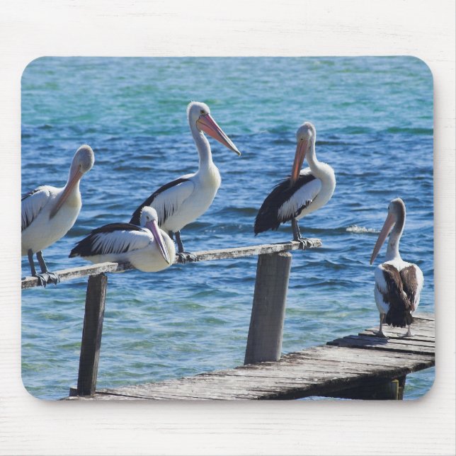Pelicans Mouse Pad (Front)