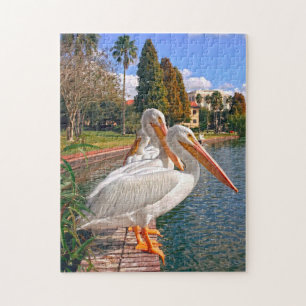 Pelicans of  Florida. Jigsaw Puzzle