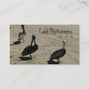 Pelicans on the Beach Business Card