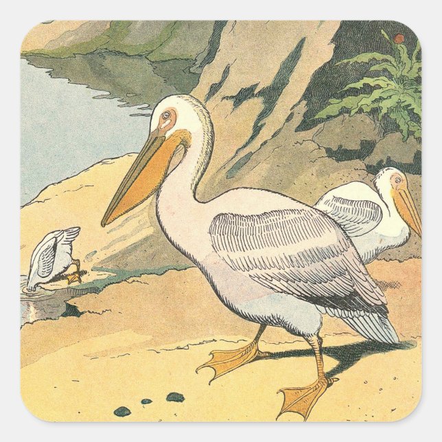 Pelicans on the Beach Illustrated Square Sticker (Front)