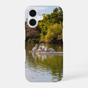 Pelicans on the Lake at the Phoenix Zoo iPhone 16 Case