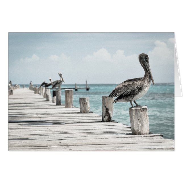 Pelicans On The Pier (Front Horizontal)