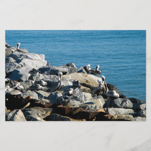 Pelicans on the Rocks (Front)