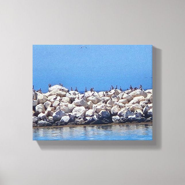 Pelicans on the rocks on the beautiful Pacific. Canvas Print (Front)