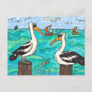 Pelicans Postcard