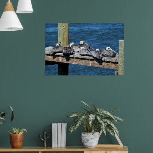 Pelicans resting on a dock poster