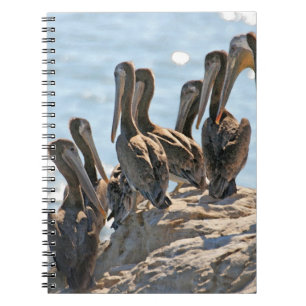 Pelicans Spiral Notebook