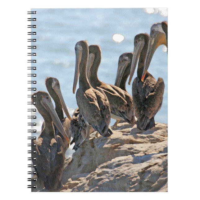Pelicans Spiral Notebook (Front)