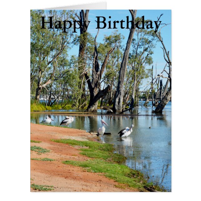 Pelicans Sunbaking River Murray, Big Birthday Card (Front)