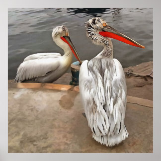 Pelicans - The Grey Twins is a painting of seabird Poster
