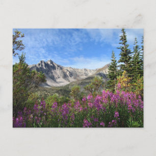 Pelly Mountain Vista Postcard