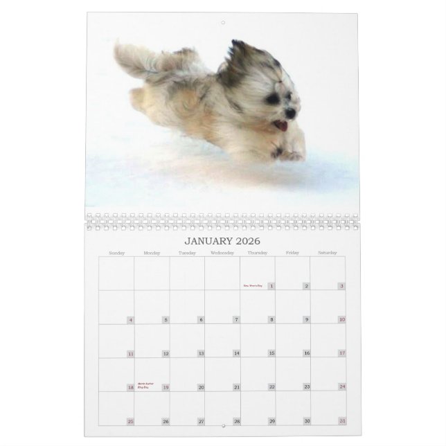 Peluito Havanese . 2011 Calendar (Jan 2026)