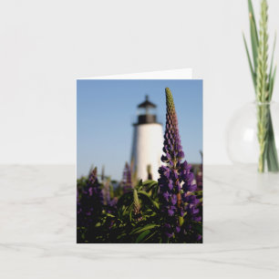 Pemaquid lupines note card