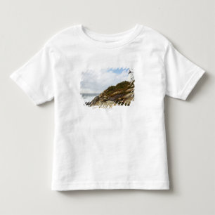 Pemaquid Point Lighthouse on a Rocky Hillside Toddler T-Shirt