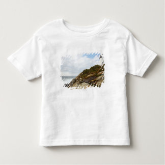 Pemaquid Point Lighthouse on a Rocky Hillside Toddler T-Shirt